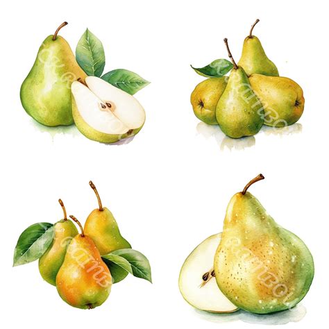 graphicpear|graphic pear download.